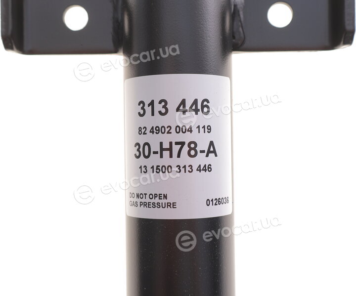 Sachs 313 446
