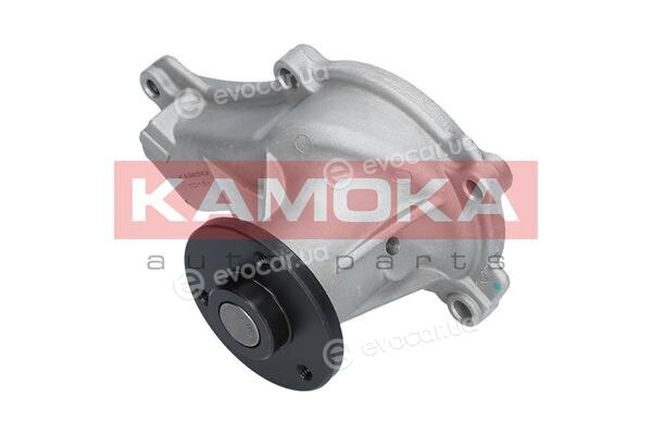 Kamoka T0151