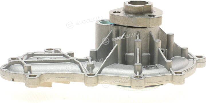 Hepu P667