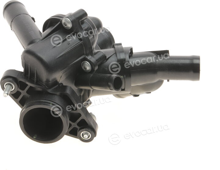 Mahle TM 79 97