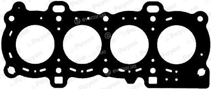 Payen AB5133