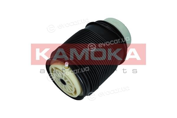 Kamoka 2079042
