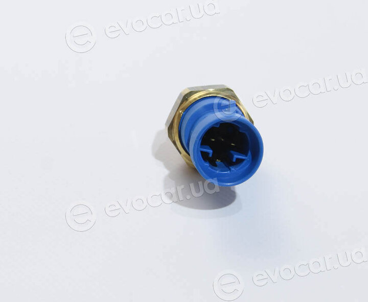 Facet 7.5681