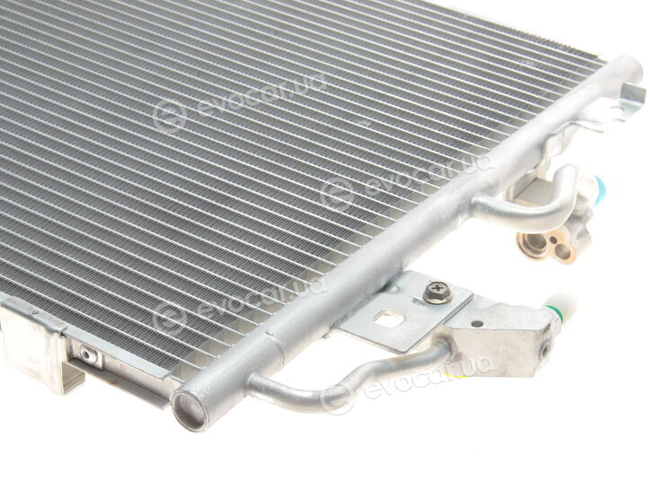 Van Wezel 37005366