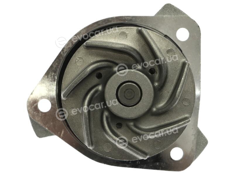 Starline VP V137