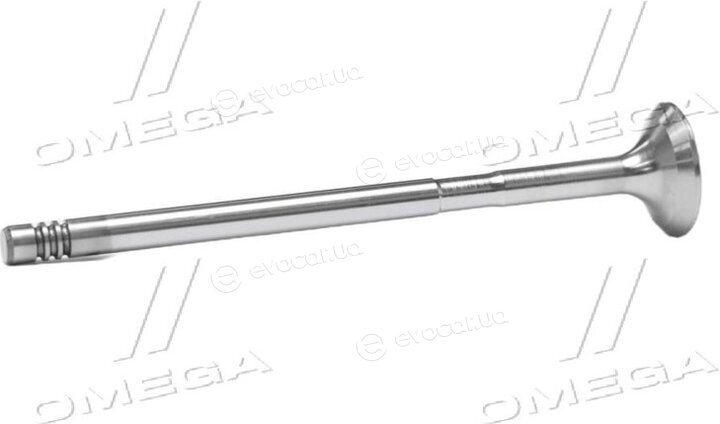 Gunes 4062