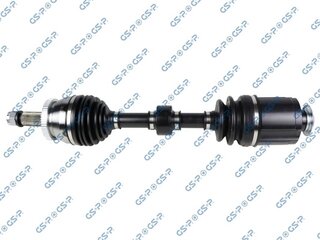 GSP 224564