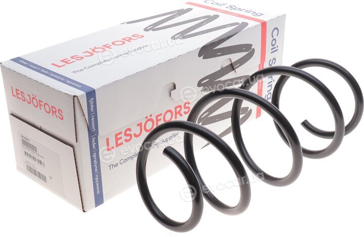 Lesjofors 4056901