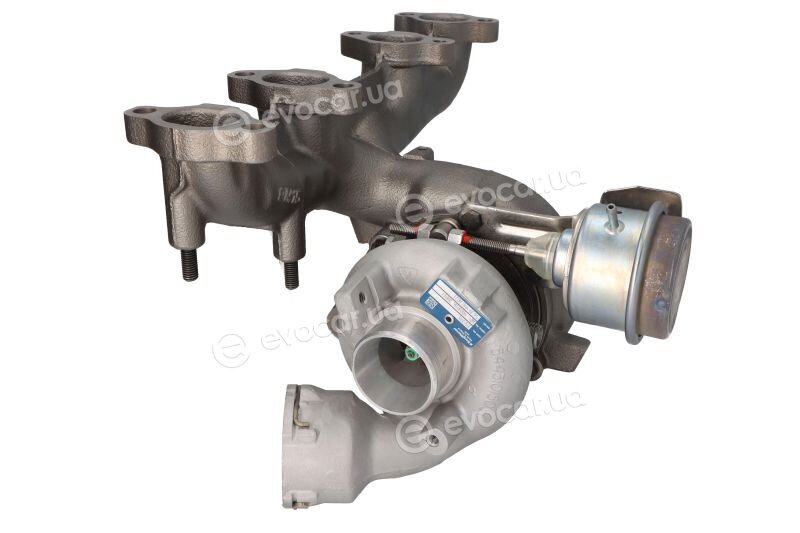 BorgWarner 54399900071
