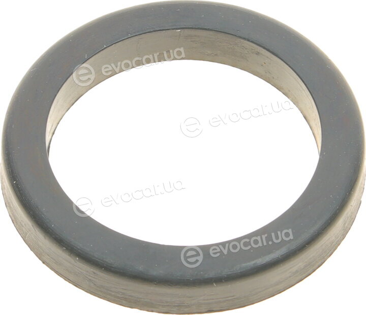 Elring 715.800