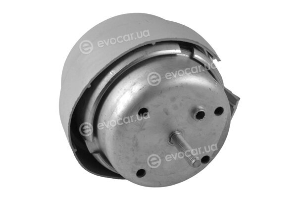 Tedgum TED64147