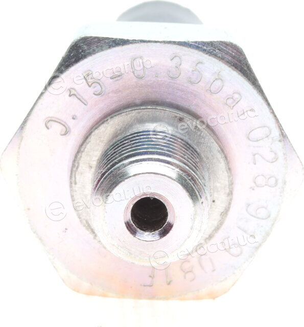 Borsehung B13139