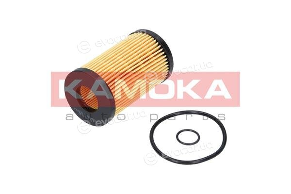 Kamoka F105301