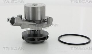 Triscan 8600 29065