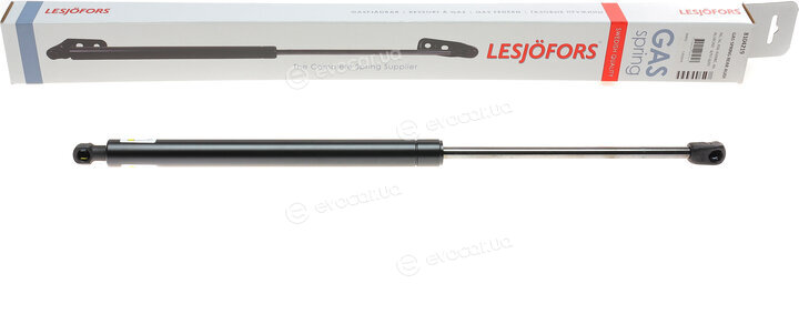 Lesjofors 8104219
