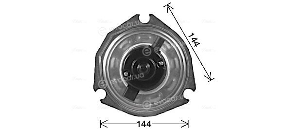 AVA DW8444