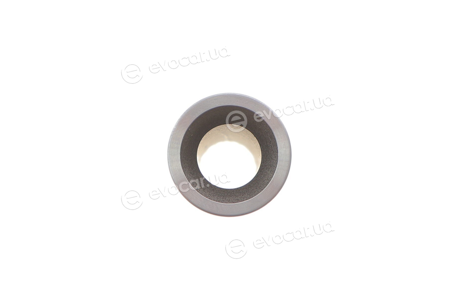 Mahle 028 PI 00118 002