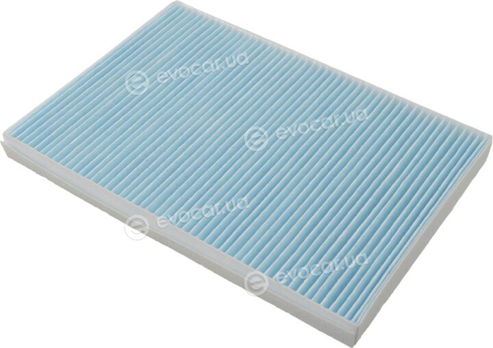 Blue Print ADG02537