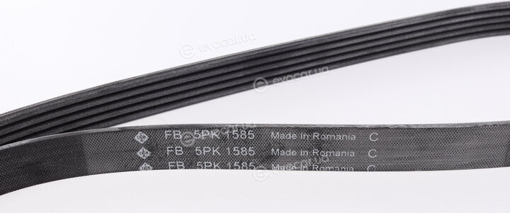 INA FB 5PK1585