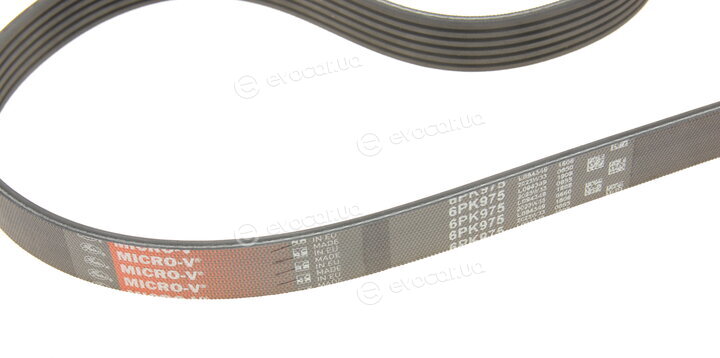 Gates K026PK975