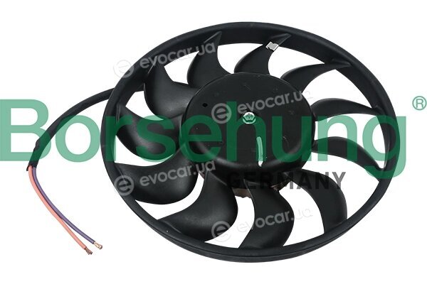 Borsehung B11898