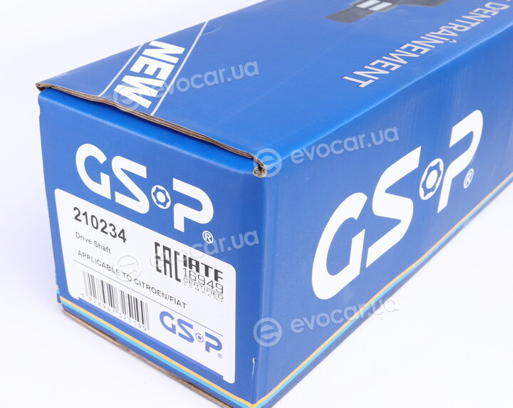 GSP 210234