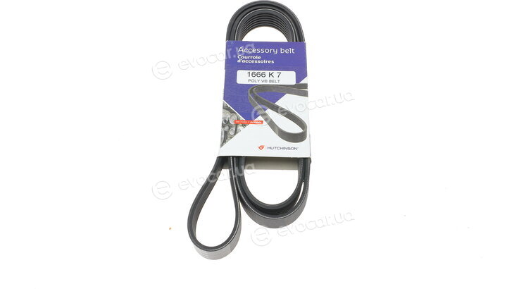 Hutchinson 1666 K 7