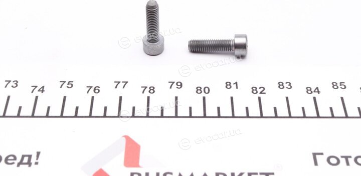 BorgWarner DS118613