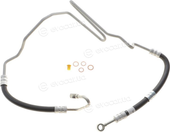 AIC 54953