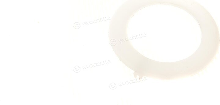 FAG 825 0300 10