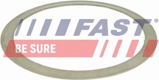 Fast FT84501