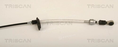 Triscan 8140 23702