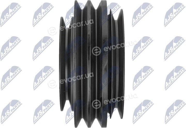 NTY RKP-NS-020