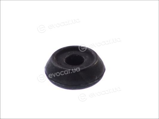 Fortune Line FZ70781