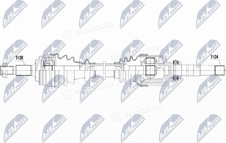 NTY NPW-PE-019
