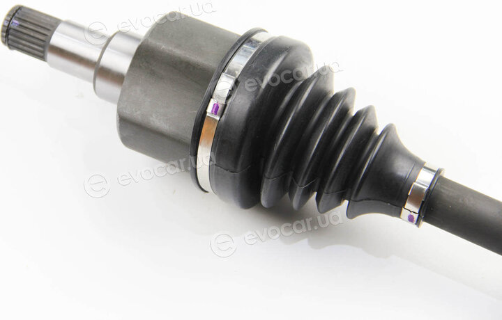BGA DS2304L