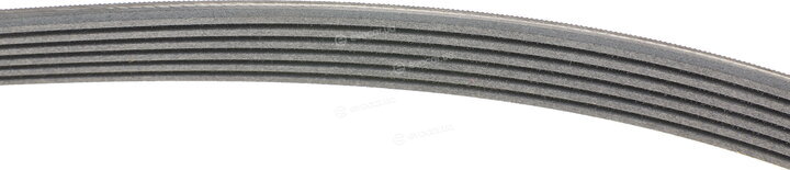 Continental 6PK1256