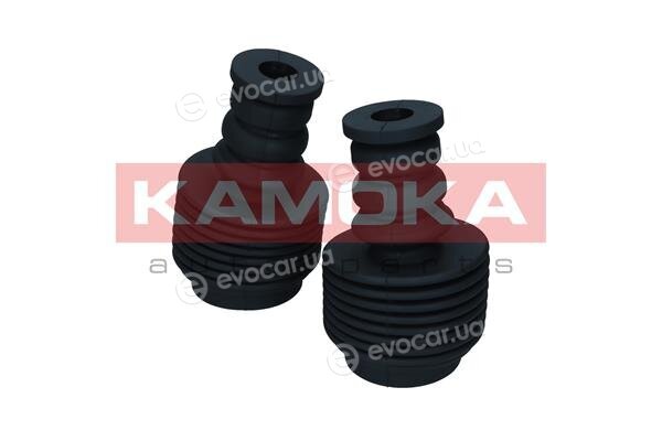 Kamoka 2019236