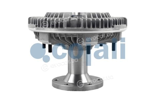 Cojali 7063115