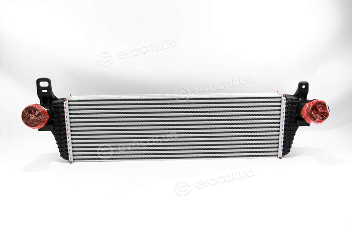 Mahle CI 242 000P