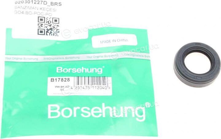 Borsehung B17828