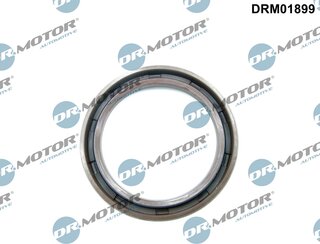 Dr. Motor DRM01899