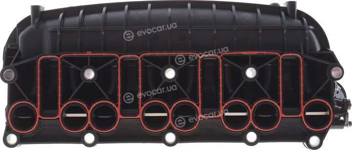 Solgy 114300