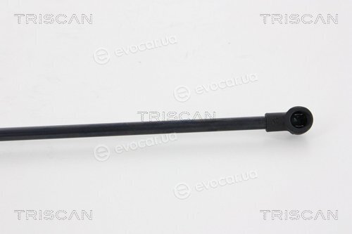Triscan 8710 28237