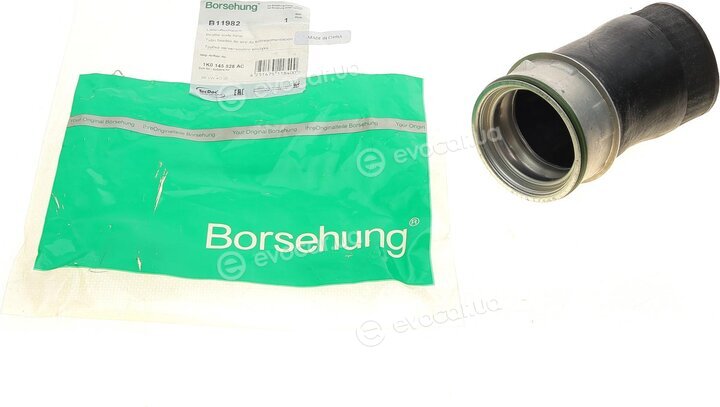 Borsehung B11982