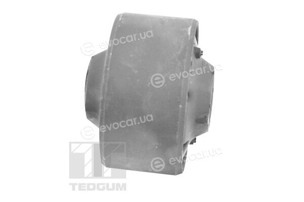 Tedgum TED51771