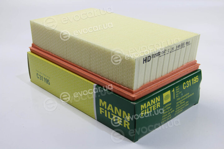 Mann C 31 195
