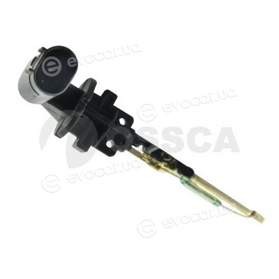 Ossca 11427