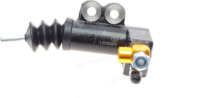 Blue Print ADG03644