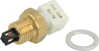FAE 33170